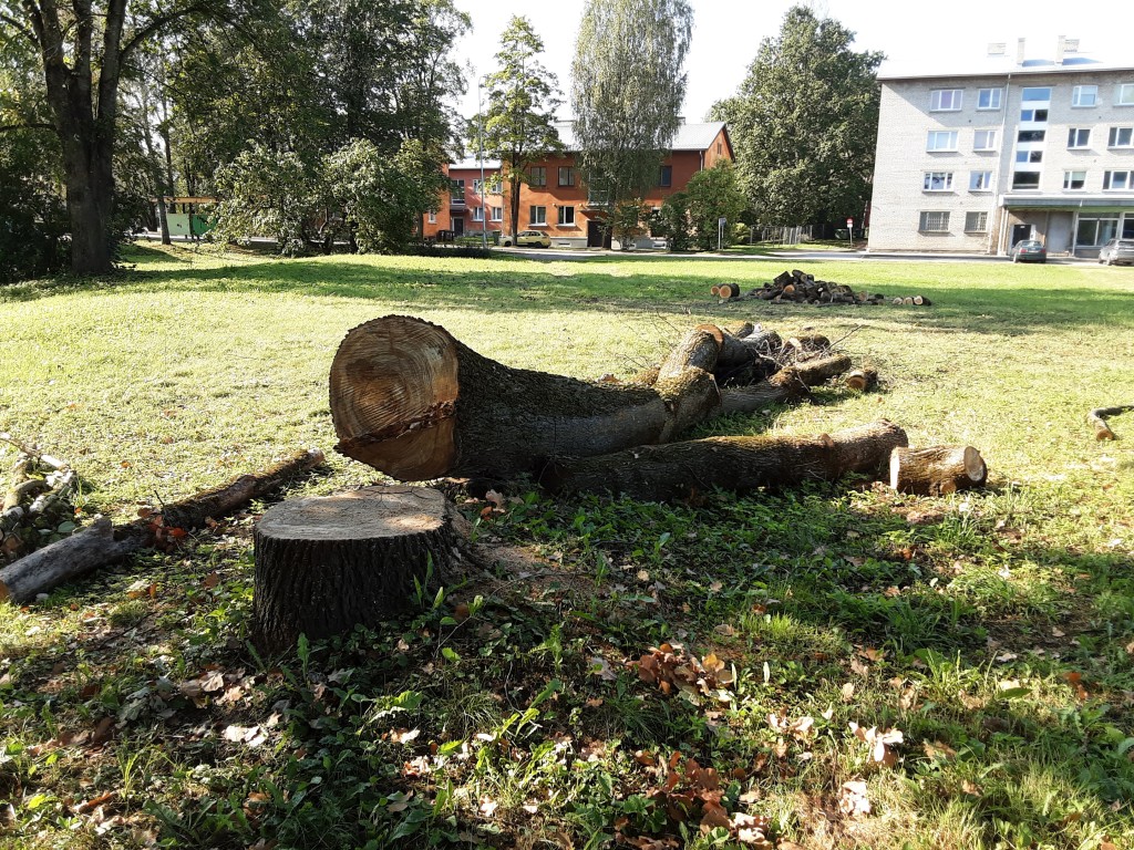 Raietööd riigimaal.jpg
